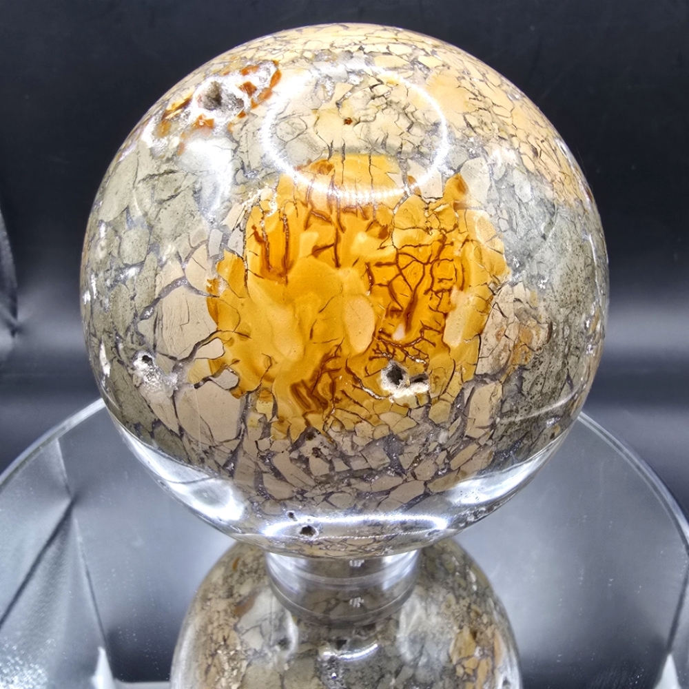 Ibis Jasper Sphere Madagascar